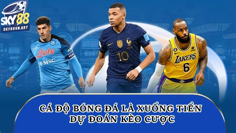 Cá độ bóng đá là xuống tiền dự đoán kèo cược Cá độ bóng đá là xuống tiền dự đoán kèo cược