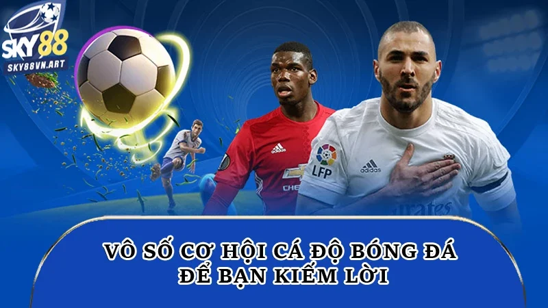 Vô số cơ hội cá độ bóng đá để bạn kiếm lời Vô số cơ hội cá độ bóng đá để bạn kiếm lời