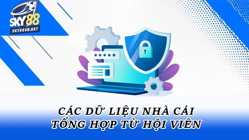 Các dữ liệu nhà cái tổng hợp từ hội viên Các dữ liệu nhà cái tổng hợp từ hội viên