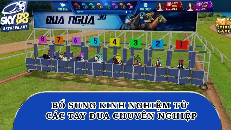 Bổ sung kinh nghiệm từ các tay đua chuyên nghiệp Bổ sung kinh nghiệm từ các tay đua chuyên nghiệp