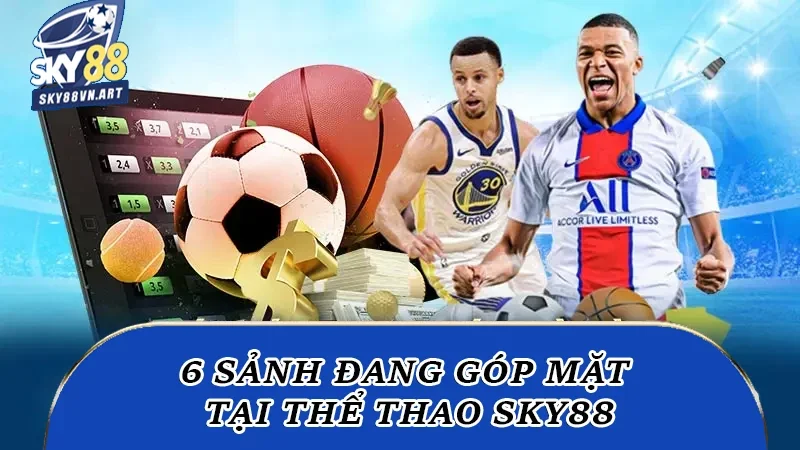 Tổng cộng 6 sảnh đang góp mặt tại thể thao Sky88 Tổng cộng 6 sảnh đang góp mặt tại thể thao Sky88
